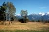 Blick auf das Estergebirge vom Eschenloher Moos