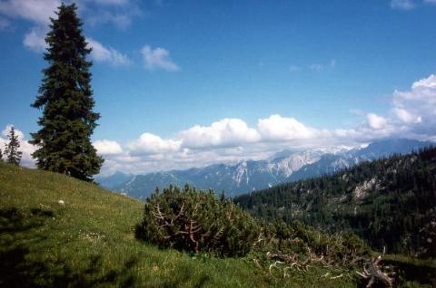 Im Estergebirge