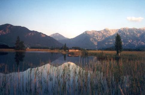 Am Krebssee im Eschenloher Moos