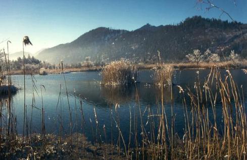 Spätherbst am Mühlbach