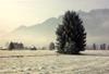 Winterstimmung im Eschenloher Moos