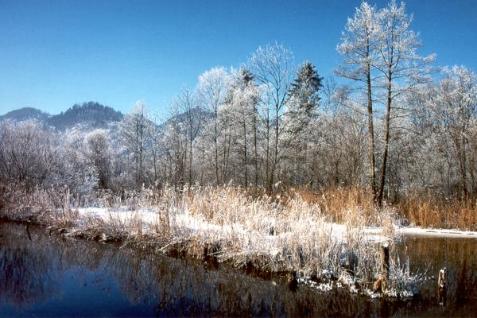 Am Mühlbach