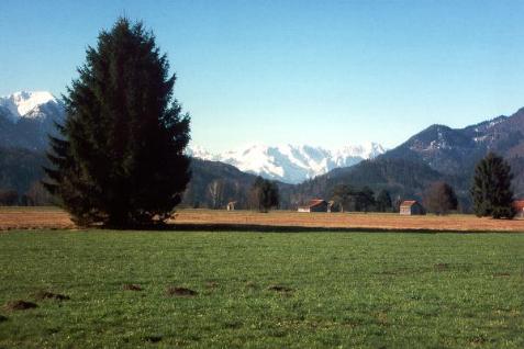 Blick zum Wettersteinmassiv vom Eschenloher Moos