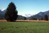 Blick zum Wettersteinmassiv vom Eschenloher Moos