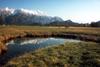 Am Moosauge - Blick zum Estergebirge