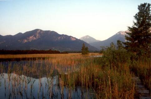 Am Krebssee