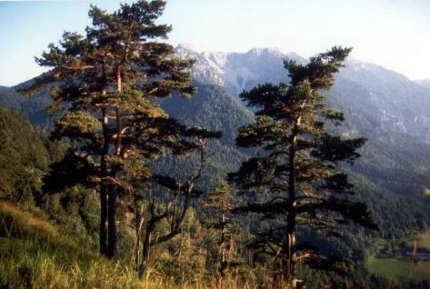 Am Heldenkreuz - Blick zum Estergebirge