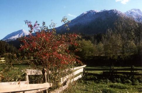 Herbst in Eschenlohe