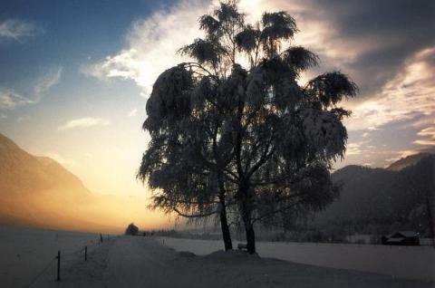 Abendstimmung am Römerberg