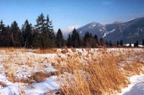 Im Moos - Blick nach Nordosten