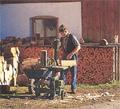 Arbeit mit Holz