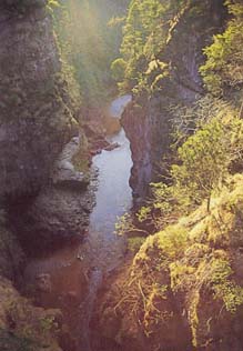 Stimmung in der Asamklamm