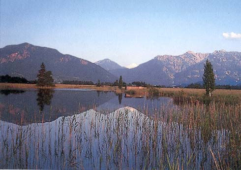 Am Krebssee im Eschenloher Moos