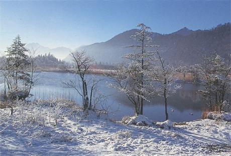 Winterstimmung im Pfrühlmoos